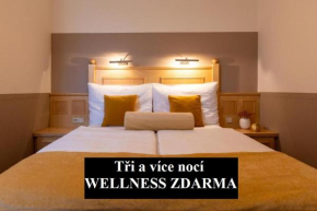 Hotel Abácie & Wellness Valasske Mezirici